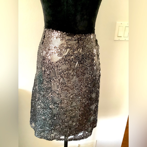 Beautiful sequined skirt-SO DRESSY 💖💖💖 - Picture 3 of 10